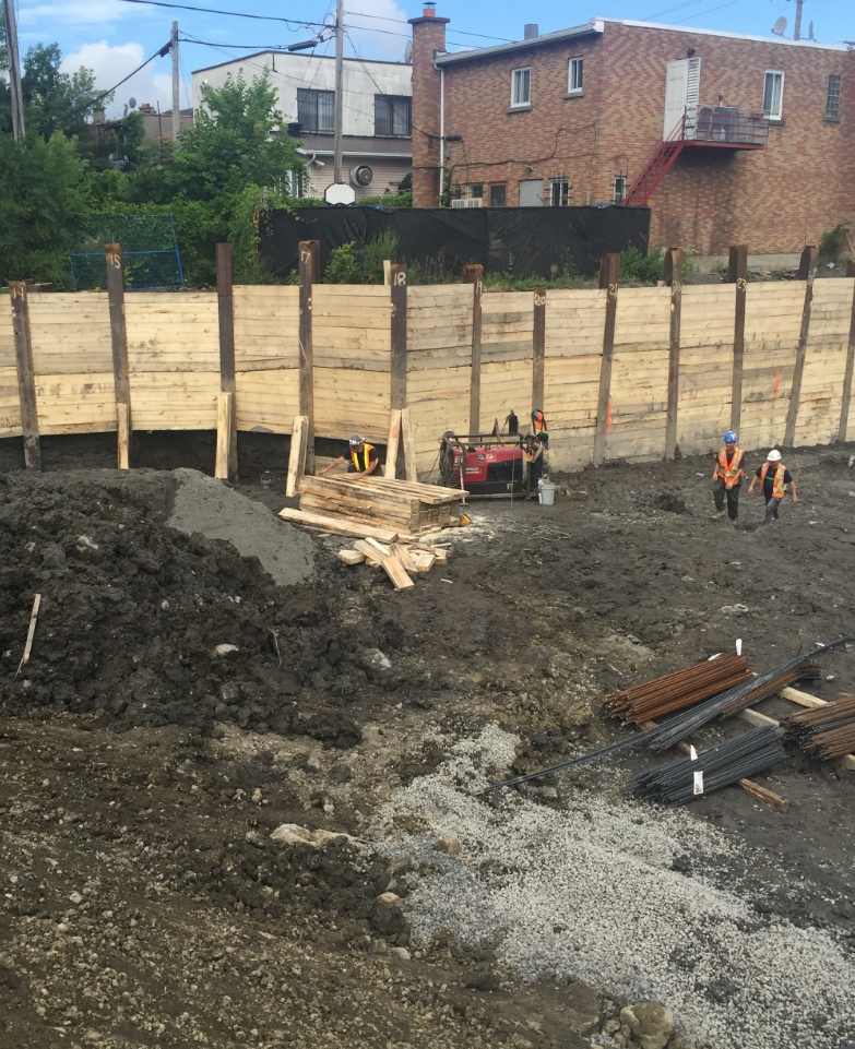 Forage cbf expertises